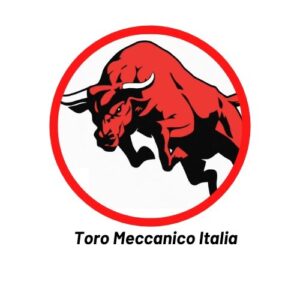 logo Toro Meccanico Italia